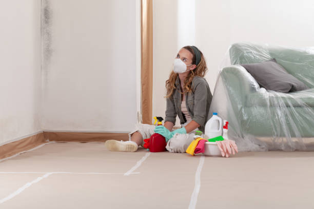 Reliable Mold Cleanup contractor in Ledgewood, NJ by Cheap Mold Removal
